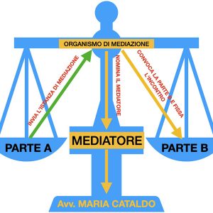 Il COVID19 non ferma la mediazione.